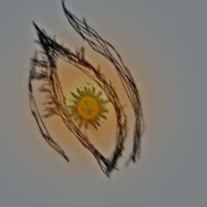 Meet your Posher, Alice